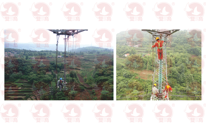 來聊聊為什麽手拉青青草在线视频免费观看會有國標呢